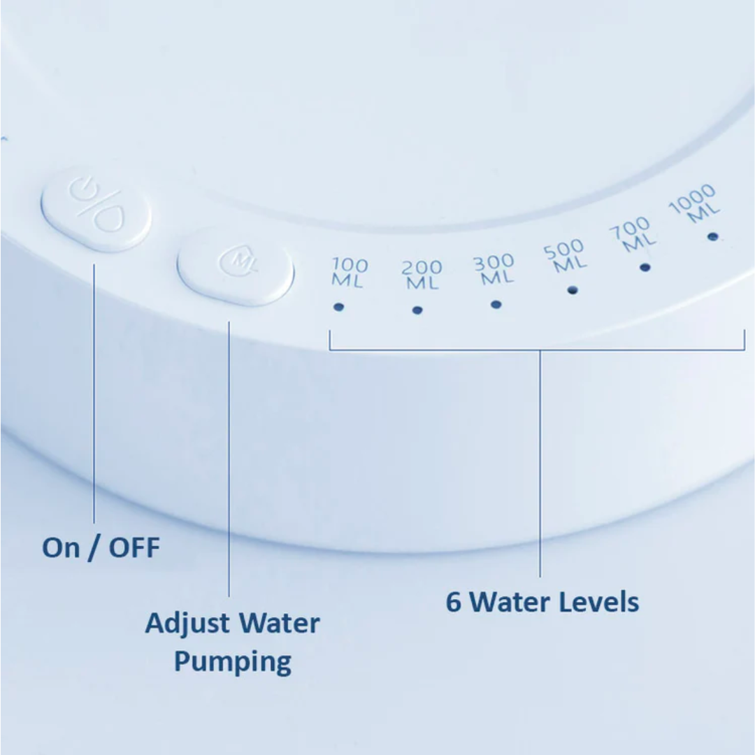 TheKarimFamily™ Desktop Water Dispenser